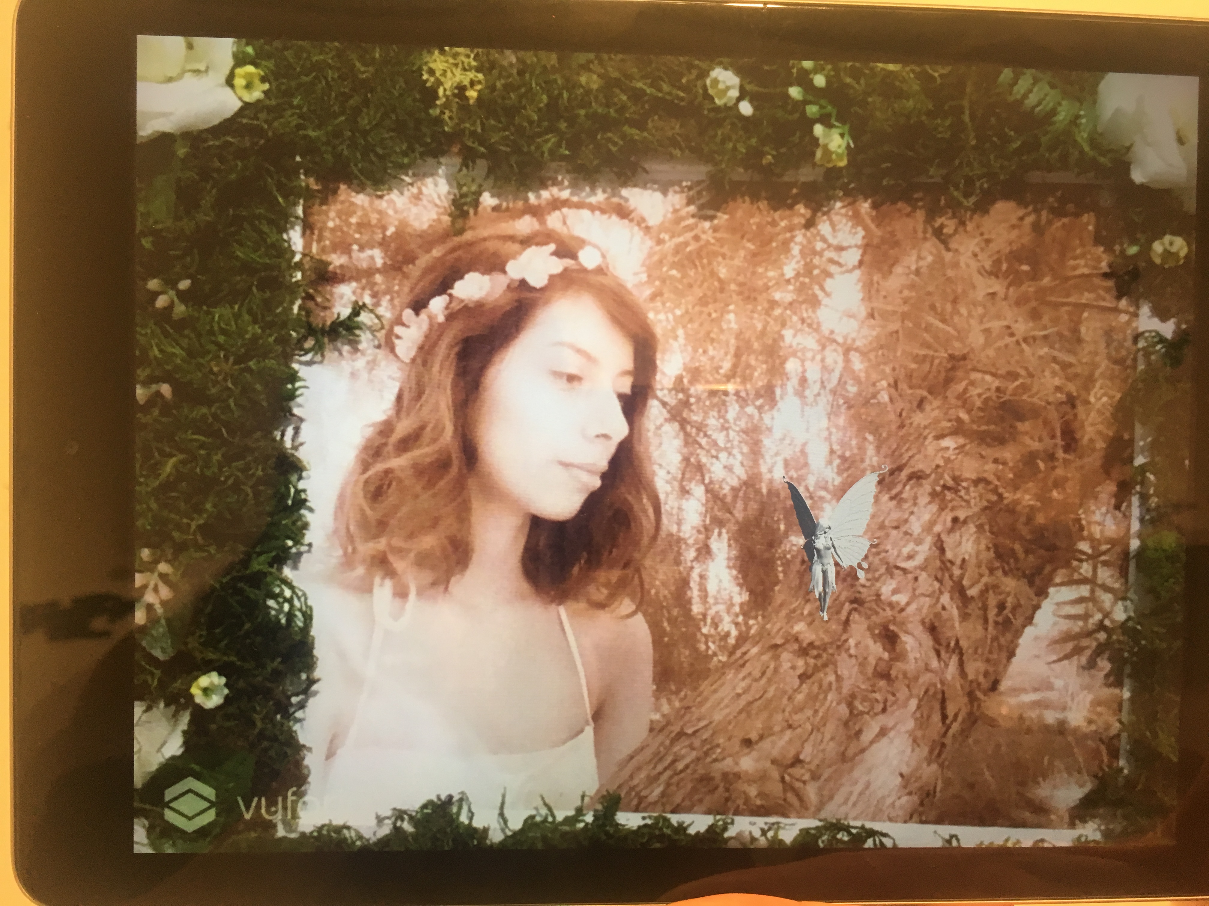 fairies AR project