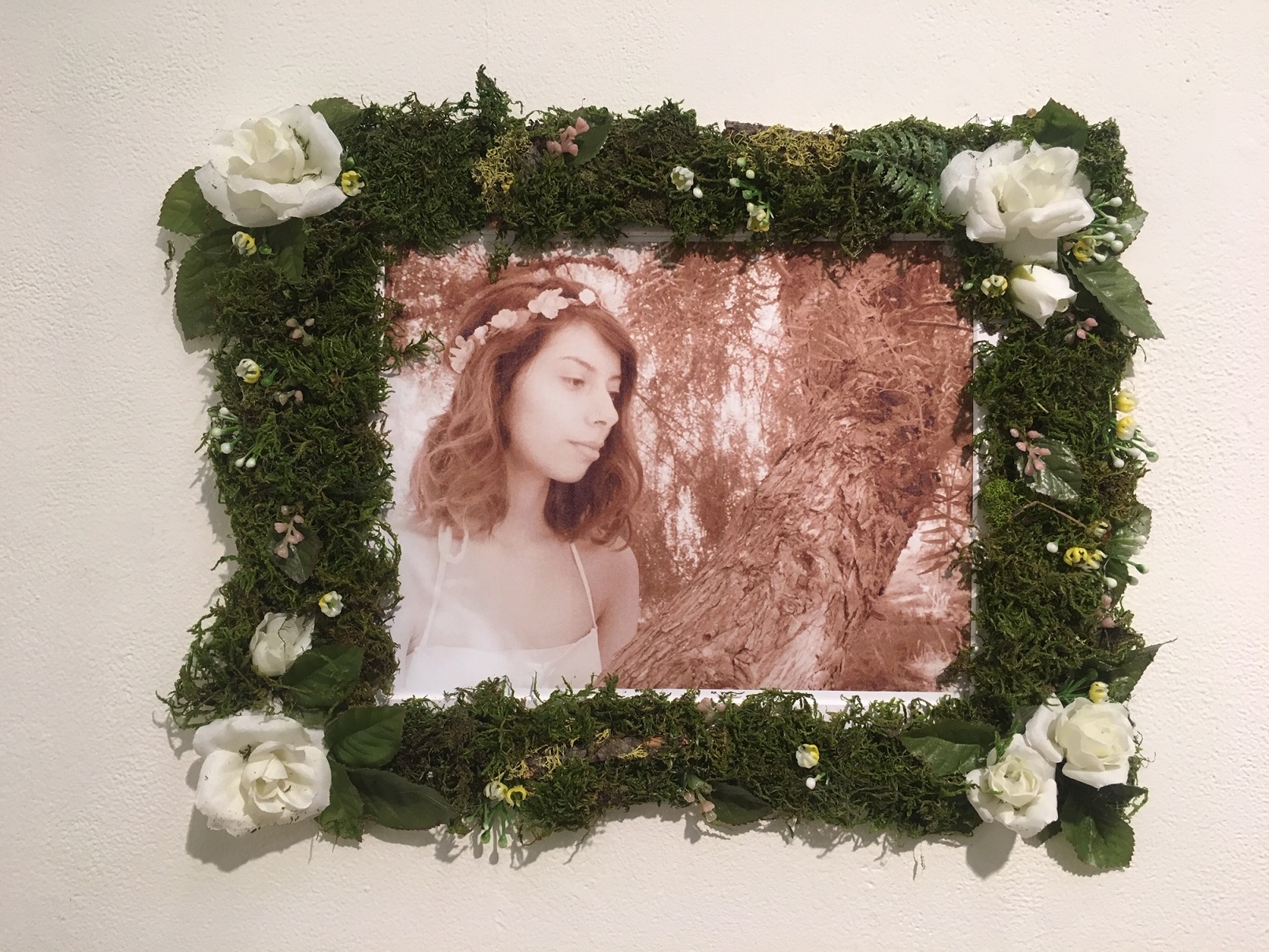 fairies AR project