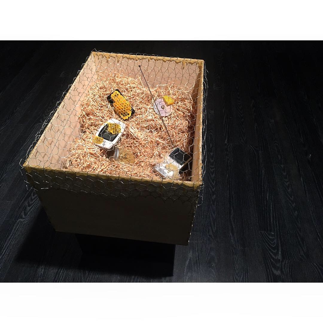 beephone project