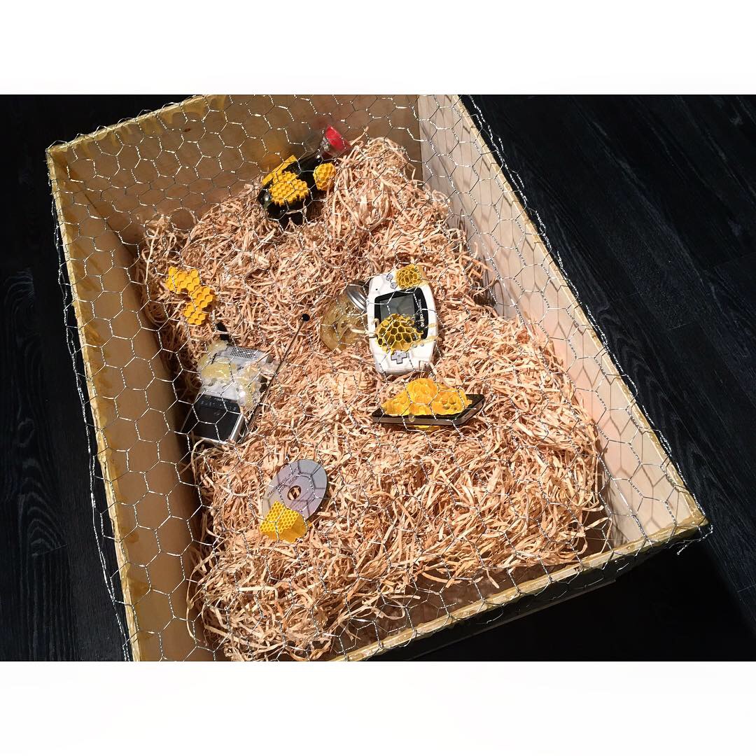 beephone project